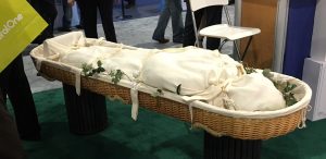 willw-casket
